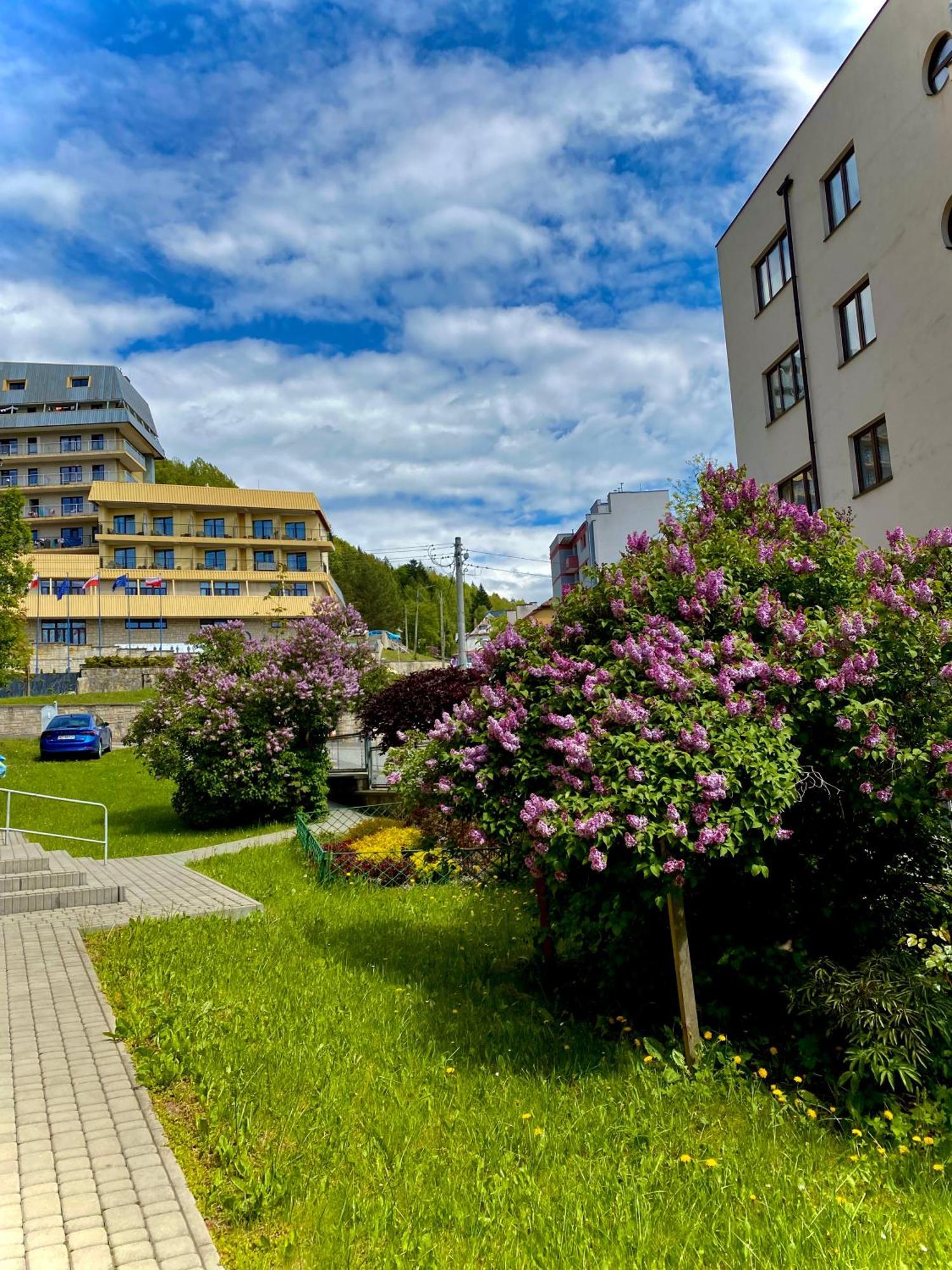 Cristal Apartament Krynica - Zdroj Kültér fotó